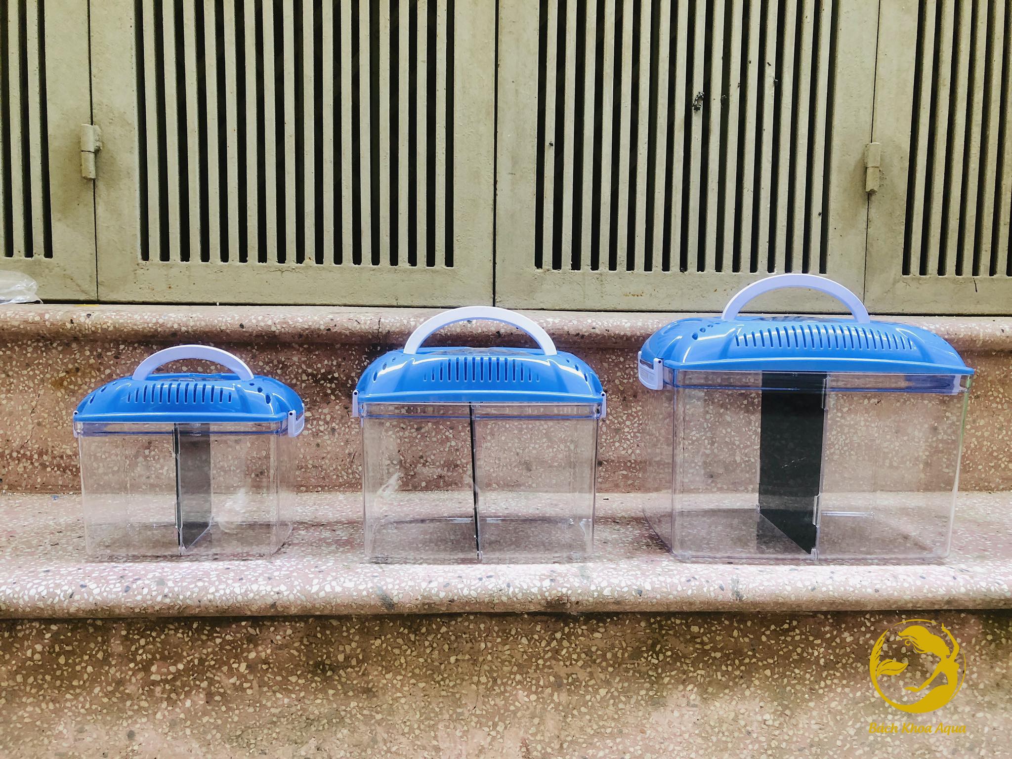 Lồng mica Leecom cho cá tiện dụng đủ kích thước